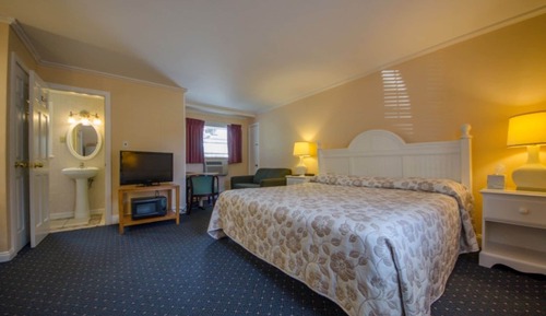 Chambre, 1 très grand lit, réfrigérateur et four à micro-ondes