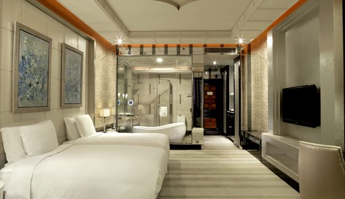 Chambre Deluxe avec lits jumeaux (Chateau )