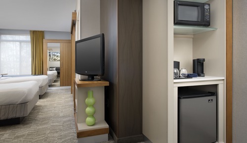 Studio, 1 très grand lit et 1 canapé-lit (Hearing Accessible)