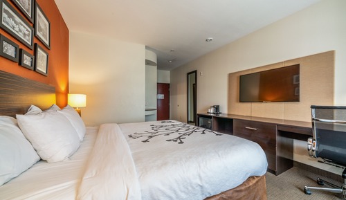 Chambre, 1 très grand lit, accessible aux personnes à mobilité réduite, non-fumeurs