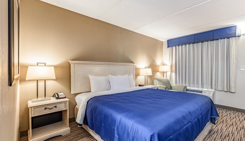 Chambre Standard, 1 très grand lit, accessible aux personnes à mobilité réduite, non-fumeurs