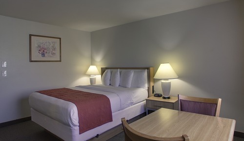 Chambre Standard, 1 grand lit, non-fumeurs