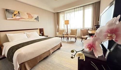 Chambre Affaires (Business King Room)