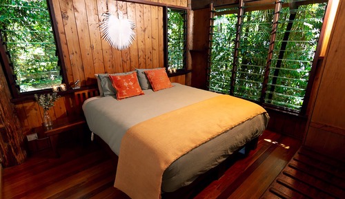 Tree House Deluxe