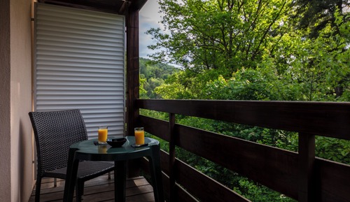 Chambre classique familiale vue foret
