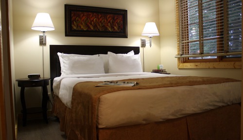 Chambre, 1 grand lit et 1 canapé-lit, coin cuisine