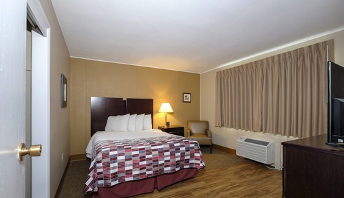 Suite Standard, 1 grand lit (Smoke Free, Roll-In Shower)