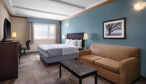 Chambre Standard, 1 très grand lit, non-fumeurs, réfrigérateur et four à micro-ondes (with Sofabed)