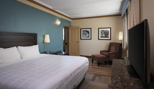 Suite, 1 très grand lit, non-fumeurs (Separate Living Room;with Sofabed)