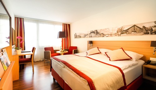Chambre Standard, 1 lit double (Comfort double room)