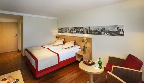 Chambre Standard, 1 lit double (Comfort double room without balcony)