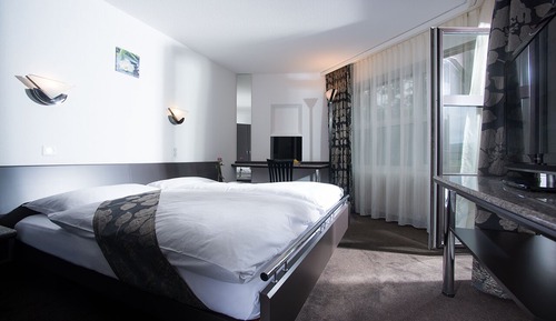Chambre Double Exécutive