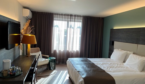 Chambre Deluxe Double ou avec lits jumeaux, 1 chambre