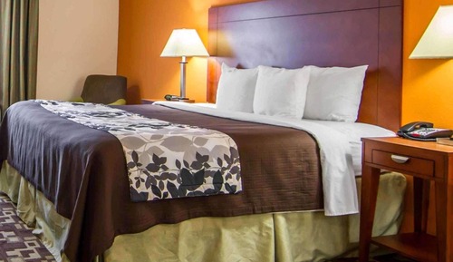 Chambre, 1 très grand lit, accessible aux personnes à mobilité réduite, non-fumeurs