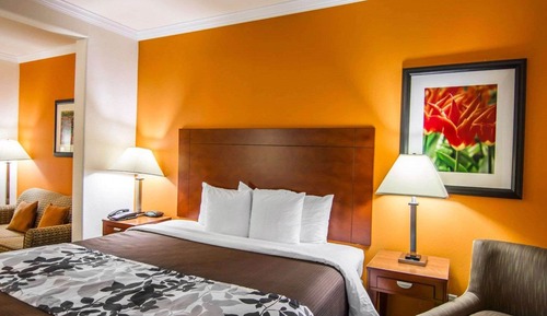 Suite, 1 très grand lit et 1 canapé-lit, non-fumeurs