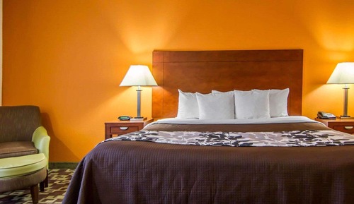 Chambre Standard, 1 très grand lit, non-fumeurs