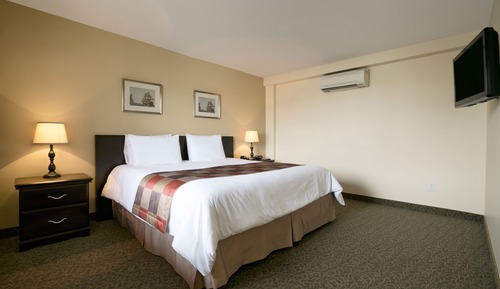 Chambre, 1 très grand lit, réfrigérateur
