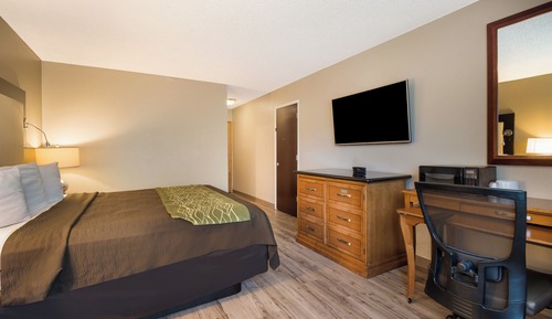 Chambre, 1 très grand lit, accessible aux personnes à mobilité réduite, non-fumeurs