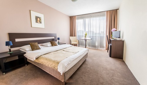 Chambre Double Supérieure pour 1 personne, 1 grand lit
