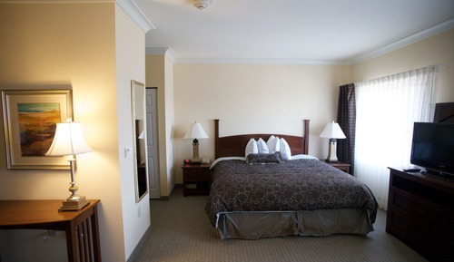 Suite Studio, 1 grand lit et 1 canapé-lit, cuisine