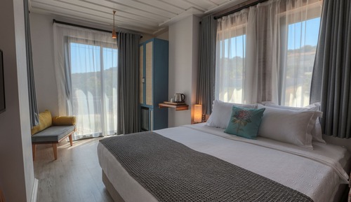 Chambre Standard Double ou avec lits jumeaux (Olive Grove View)
