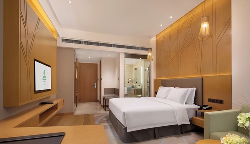 Chambre Standard, 1 très grand lit