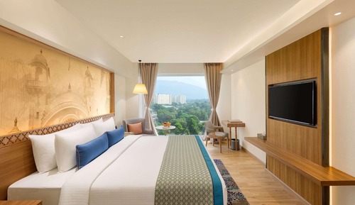 Chambre Deluxe, 1 lit double