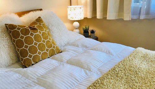 Chambre Simple Économique