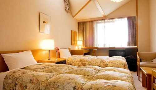 Chambre avec lits jumeaux, salle de bains privée
