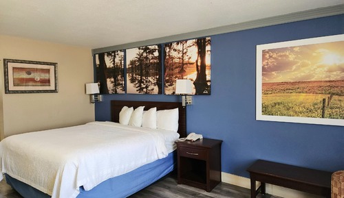 Chambre, 1 très grand lit, accessible aux personnes à mobilité réduite, non-fumeurs (Roll-In Shower)