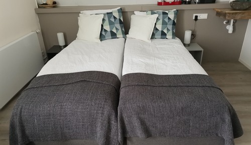 Chambre Deluxe Double ou avec lits jumeaux, salle de bains commune (Kwintelooijen)