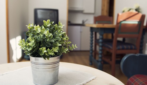 Appartement Majestueux, plusieurs chambres, salle de bains privée
