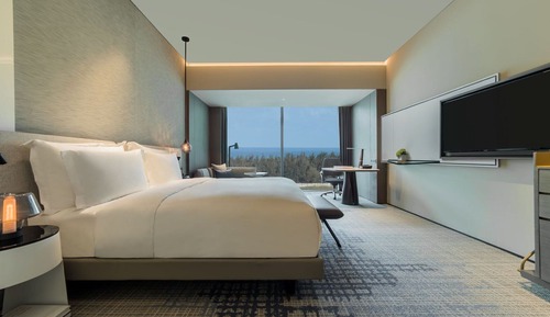 Chambre Standard, 1 très grand lit