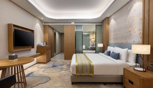 Chambre Exécutive, 1 très grand lit