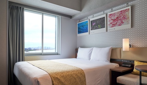Chambre Supérieure, non-fumeurs (with Onsen Ticket)