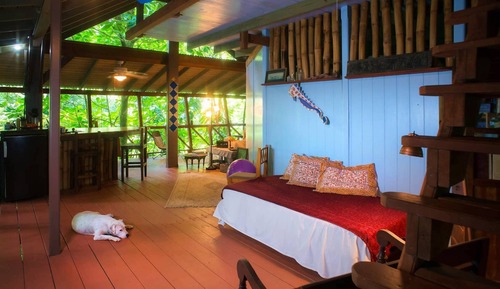 Tree House Design