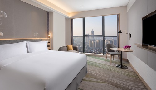 Chambre Premium, 1 très grand lit