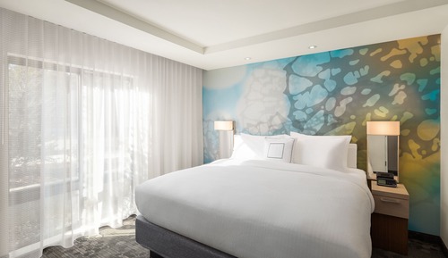 Chambre, 1 très grand lit et 1 canapé-lit (Mobility/Hearing Access, Roll-In Shwr)