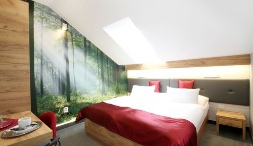 Chambre Deluxe Double ou avec lits jumeaux