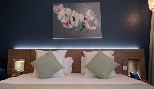 Chambre Deluxe Double ou avec lits jumeaux