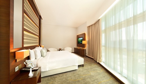 Chambre Exécutive (Plus)