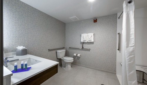 Suite, 1 très grand lit, accessible aux personnes à mobilité réduite (Communication, Roll-In Shower)