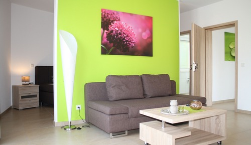Appartement, 1 très grand lit et 1 canapé-lit, non-fumeurs, salle de bains attenante