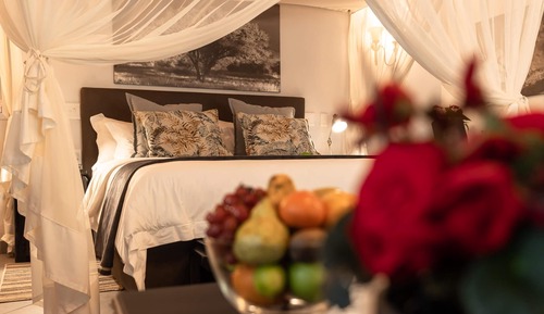 Suite Luxe