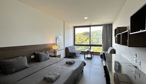 Chambre Double Luxe pour 1 personne