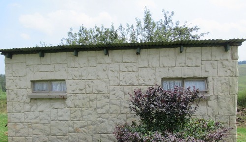 Bungalow, salle de bains commune