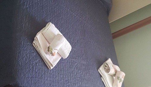Chambre Double ou avec lits jumeaux, salle de bains privée