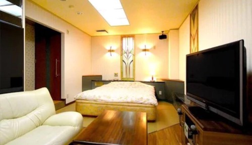 Chambre Double Affaires pour 1 personne, 1 très grand lit, non-fumeurs (Standard, B)