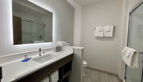 Chambre Standard, 1 très grand lit (Walk-In Shower)