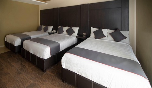 Chambre Standard (Three beds)